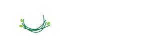 Boningar feng shui