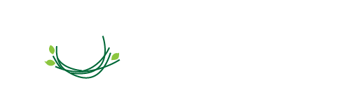 Boningar feng shui